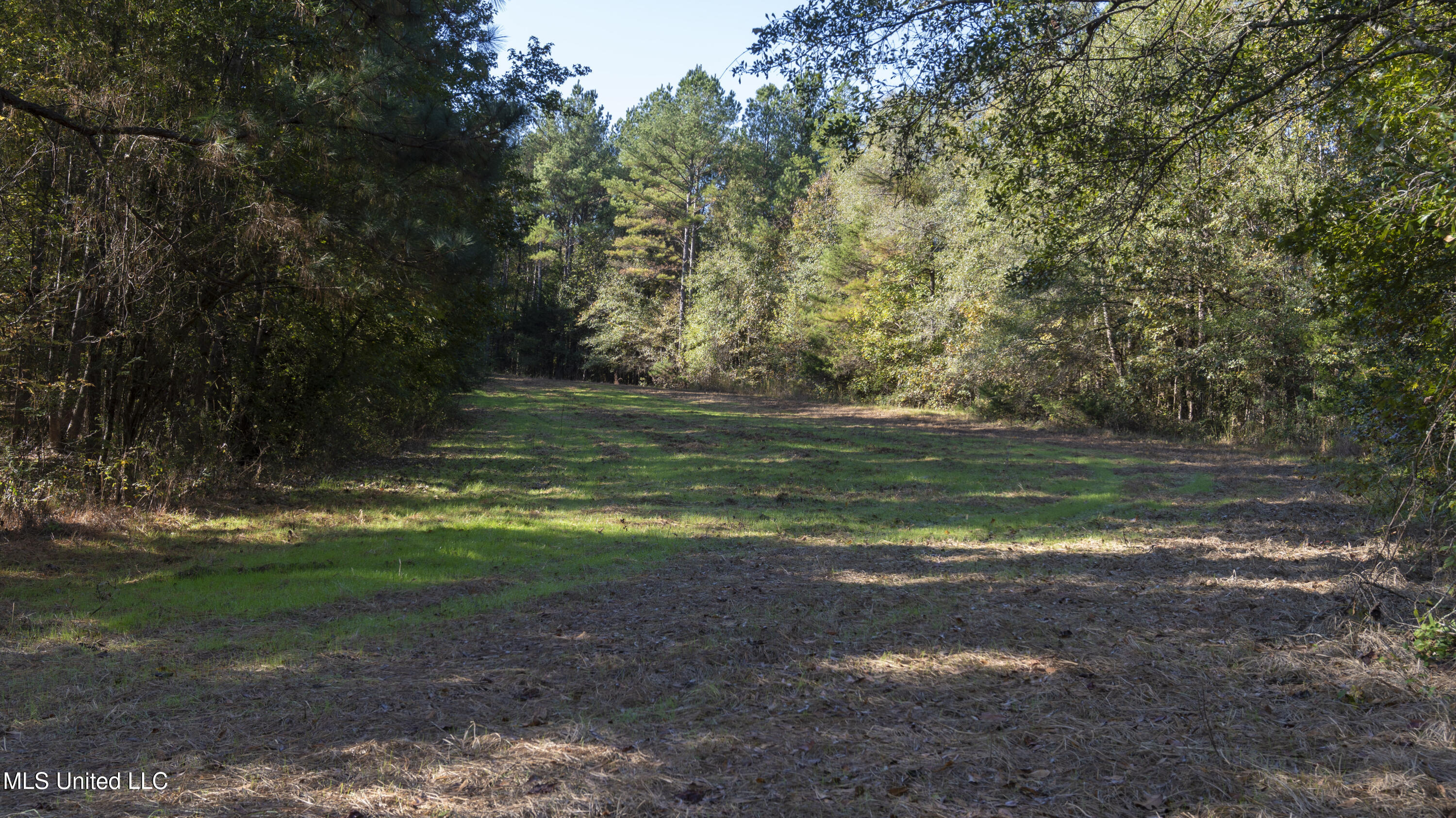 16098 Emory Road West, MS 39192 - Photo 6 of 41 WILL WARD-90 ACRE-04