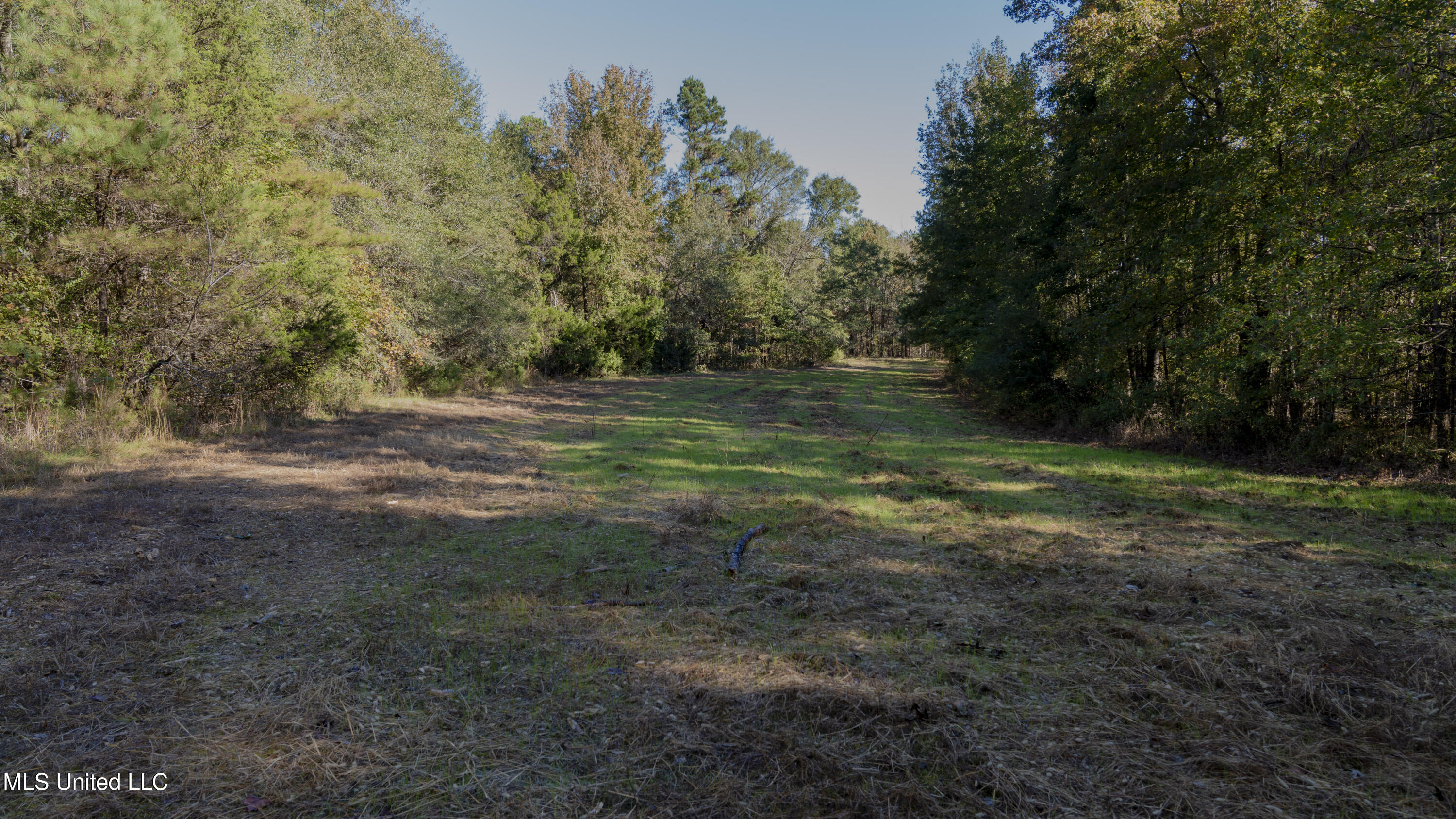 16098 Emory Road West, MS 39192 - Photo 8 of 41 WILL WARD-90 ACRE-07