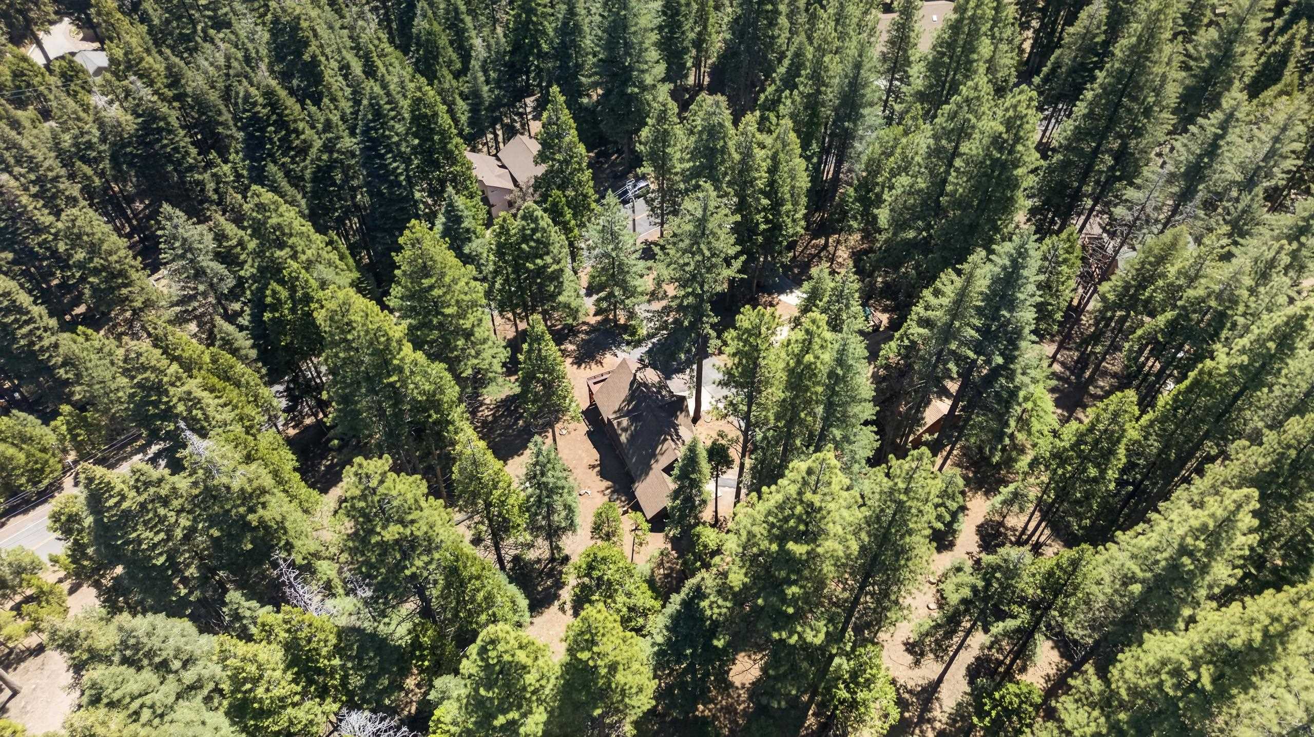 647 East Mountain Ridge Road Lake Almanor, CA 96137 - Photo 23 of 24