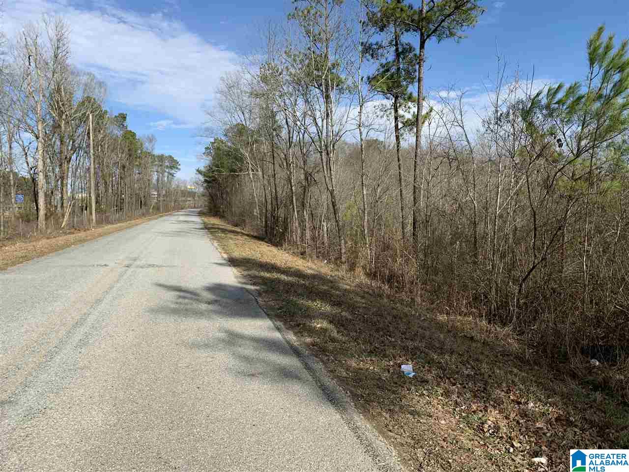15-acres Crump Road, Unit 15 ACRES Steele, AL 35987 - Photo 5 of 9