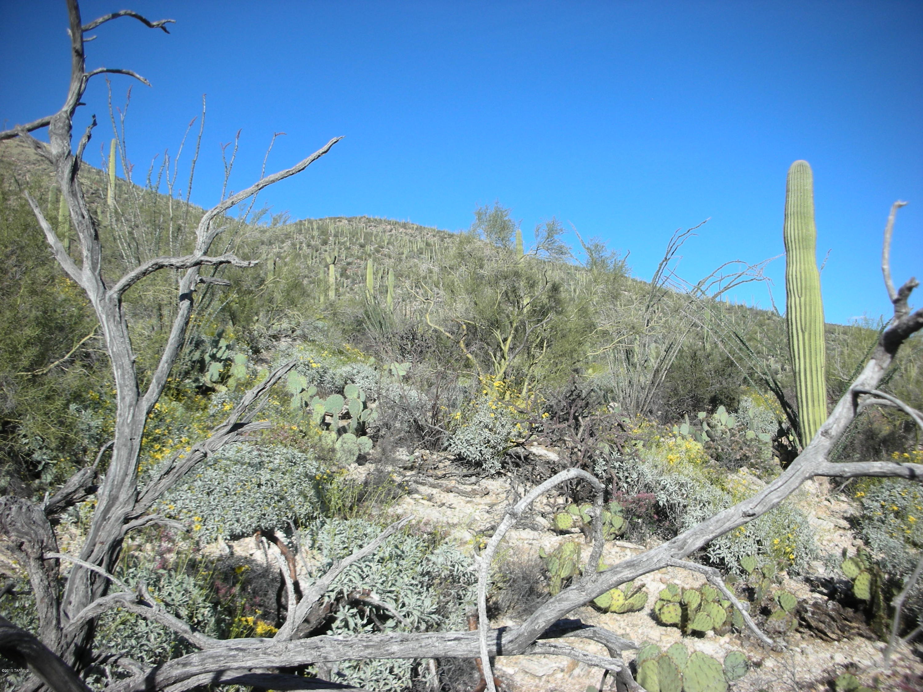 West Rhyolite Loop Tucson, AZ 85745 - Photo 11 of 12