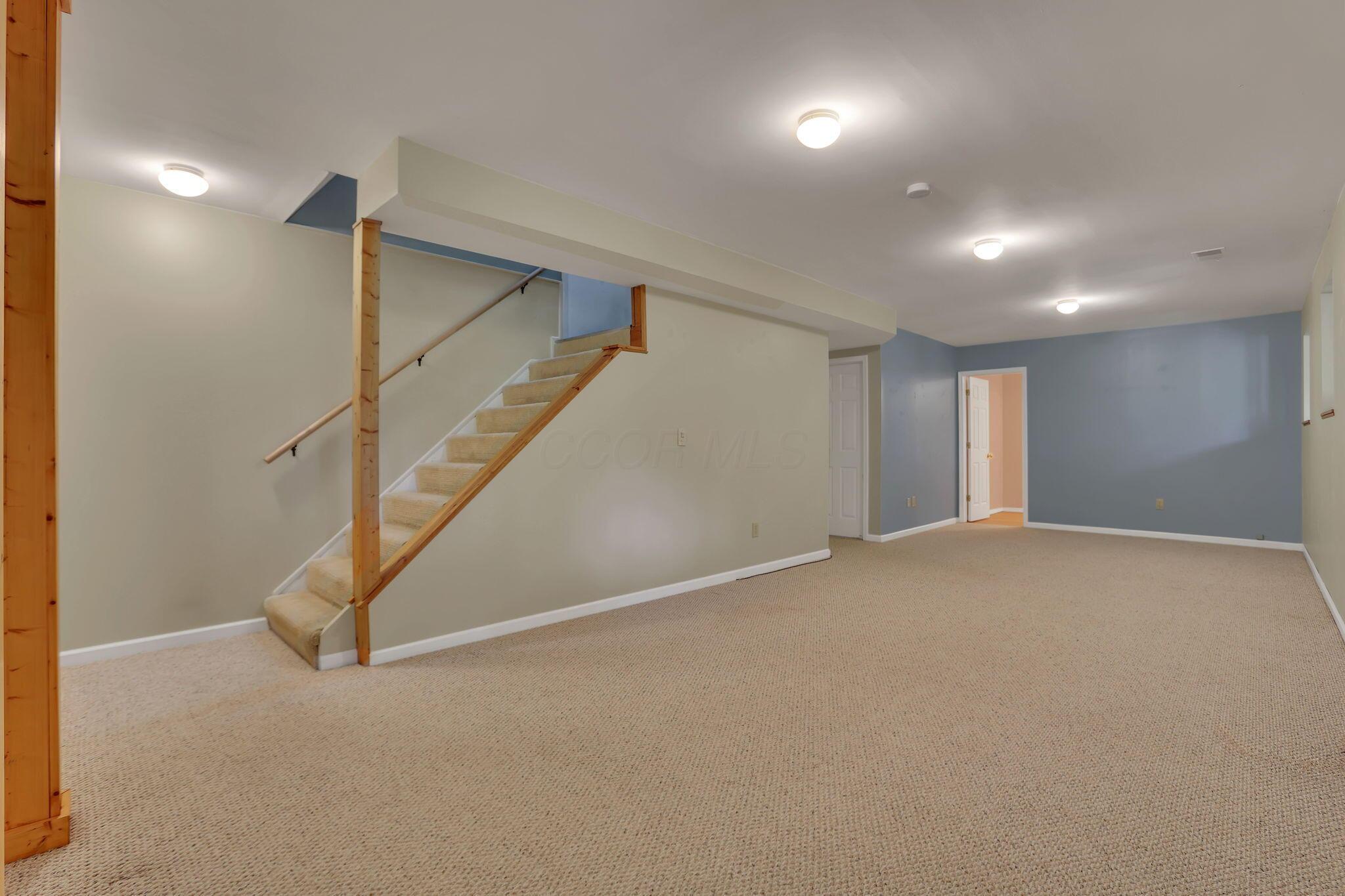 6565 Taggart Road Delaware, OH 43015 - Photo 36 of 82 45-web-or-mls-7W3A9709