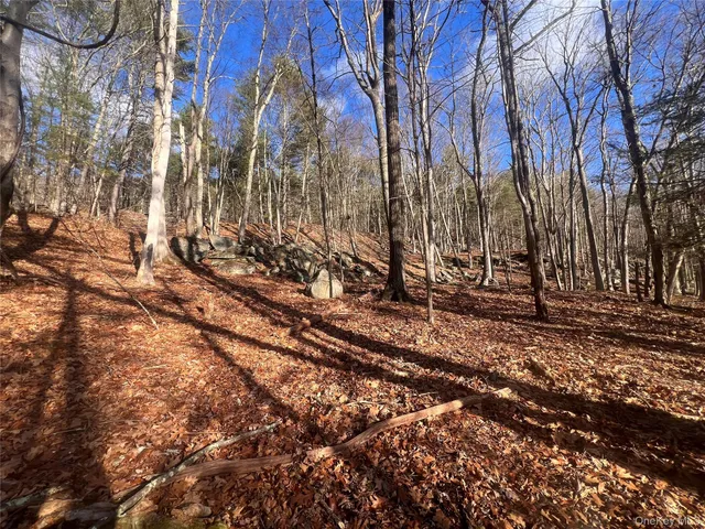 a view of a park with large trees