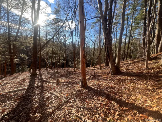 a view of a tree in the yard