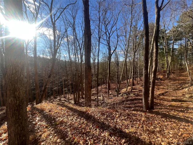 a view of outdoor space with lots of trees