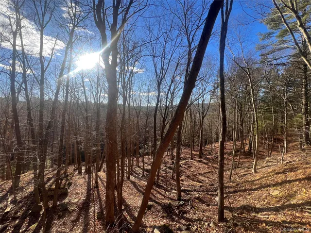a view of covered with snow
