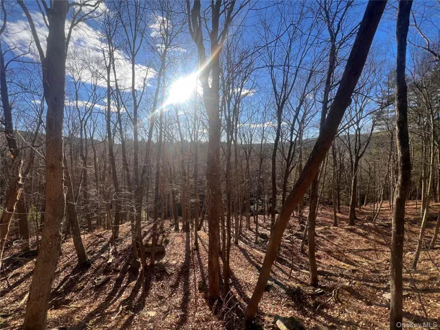 a view of covered with trees