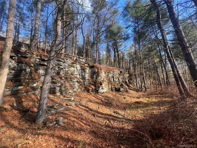 a view of covered with snow