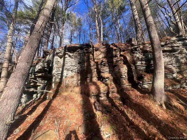 a view of a yard with trees