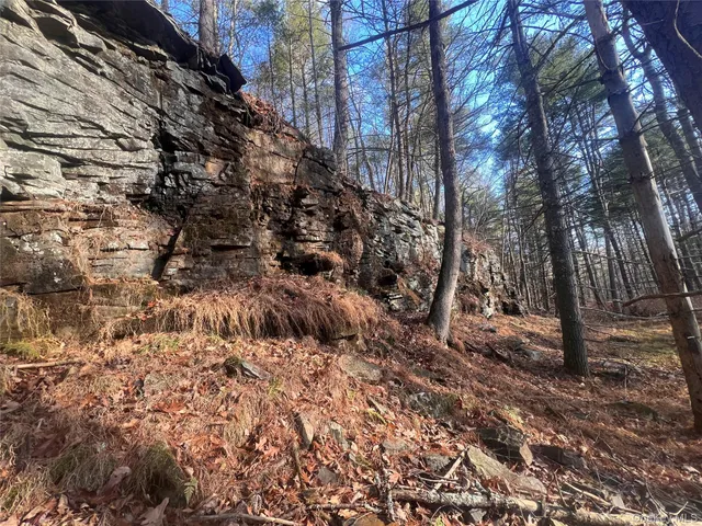 a backyard of a building