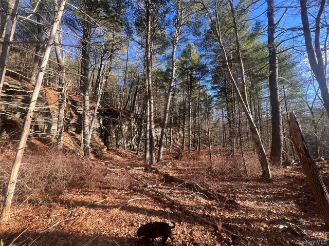 a view of outdoor space with lots of trees