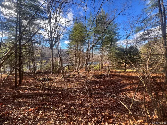 a view of house with yard