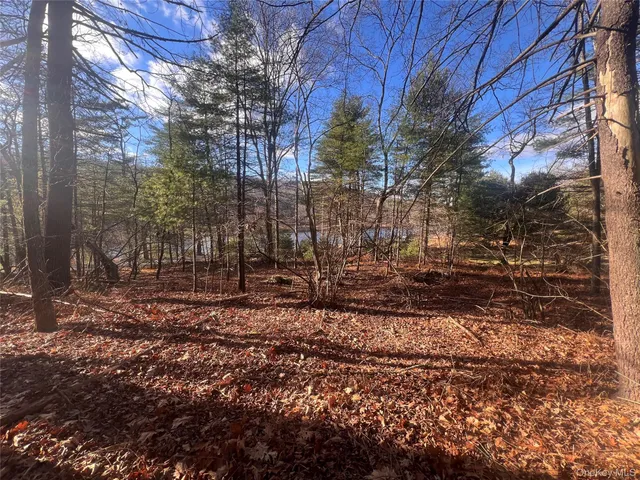 a view of a yard with trees