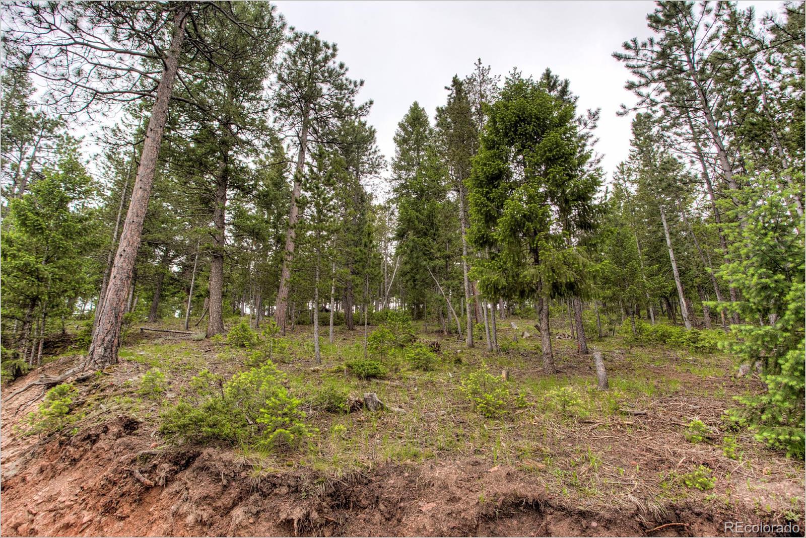 5820 Cliff Road Evergreen, CO 80439 - Photo 11 of 25 Gallery Image 11