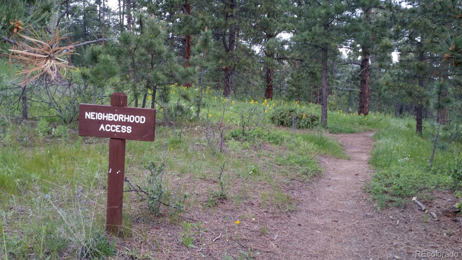 5820 Cliff Road Evergreen, CO 80439 - Photo 25 of 25 Gallery Image 25