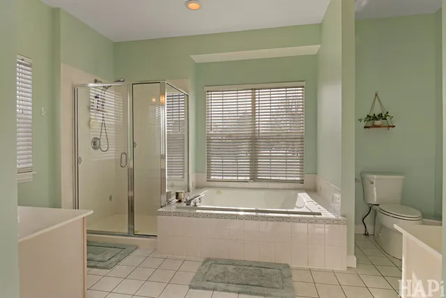 a bathroom with a bathtub and a toilet