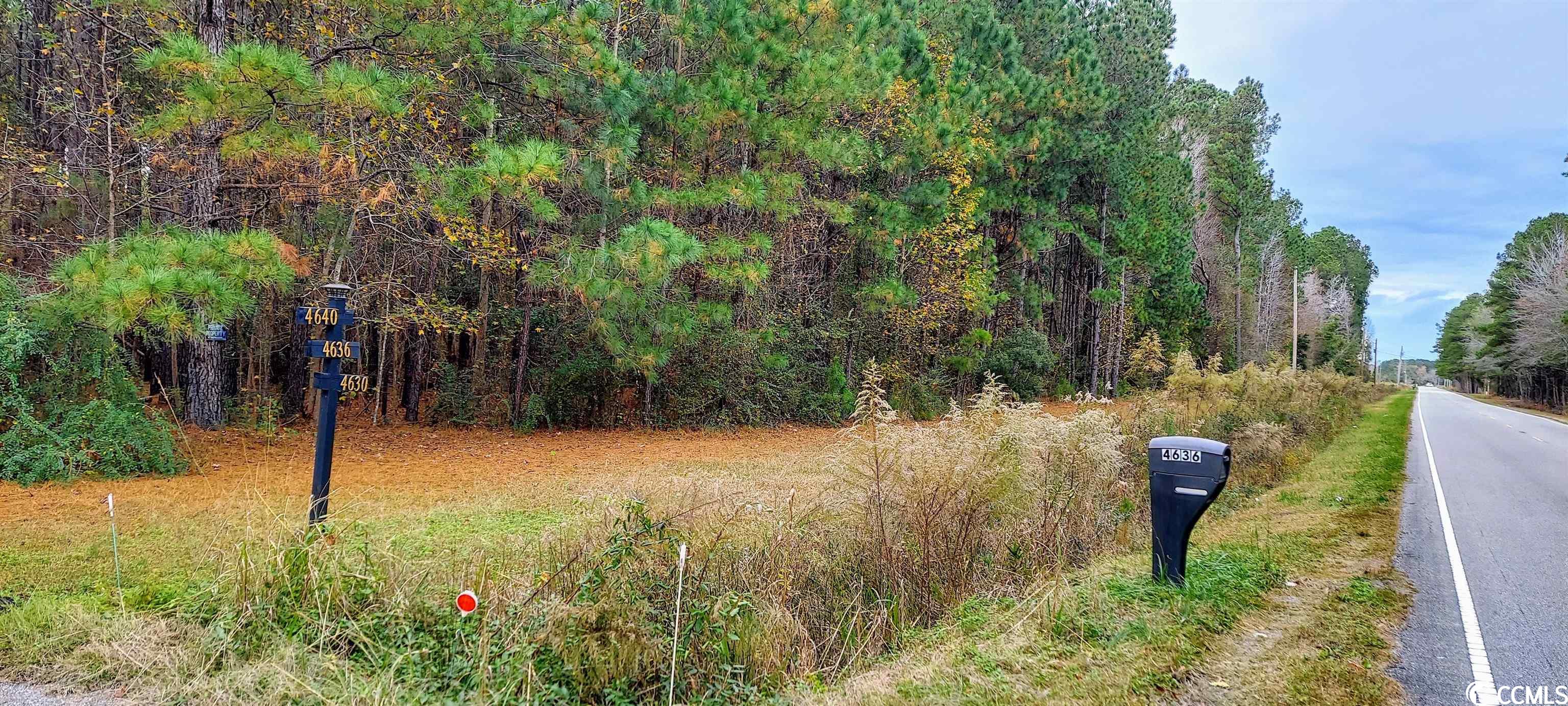 4630 State Highway 554 Loris, SC 29569 - Photo 8 of 21 Gallery Image 8