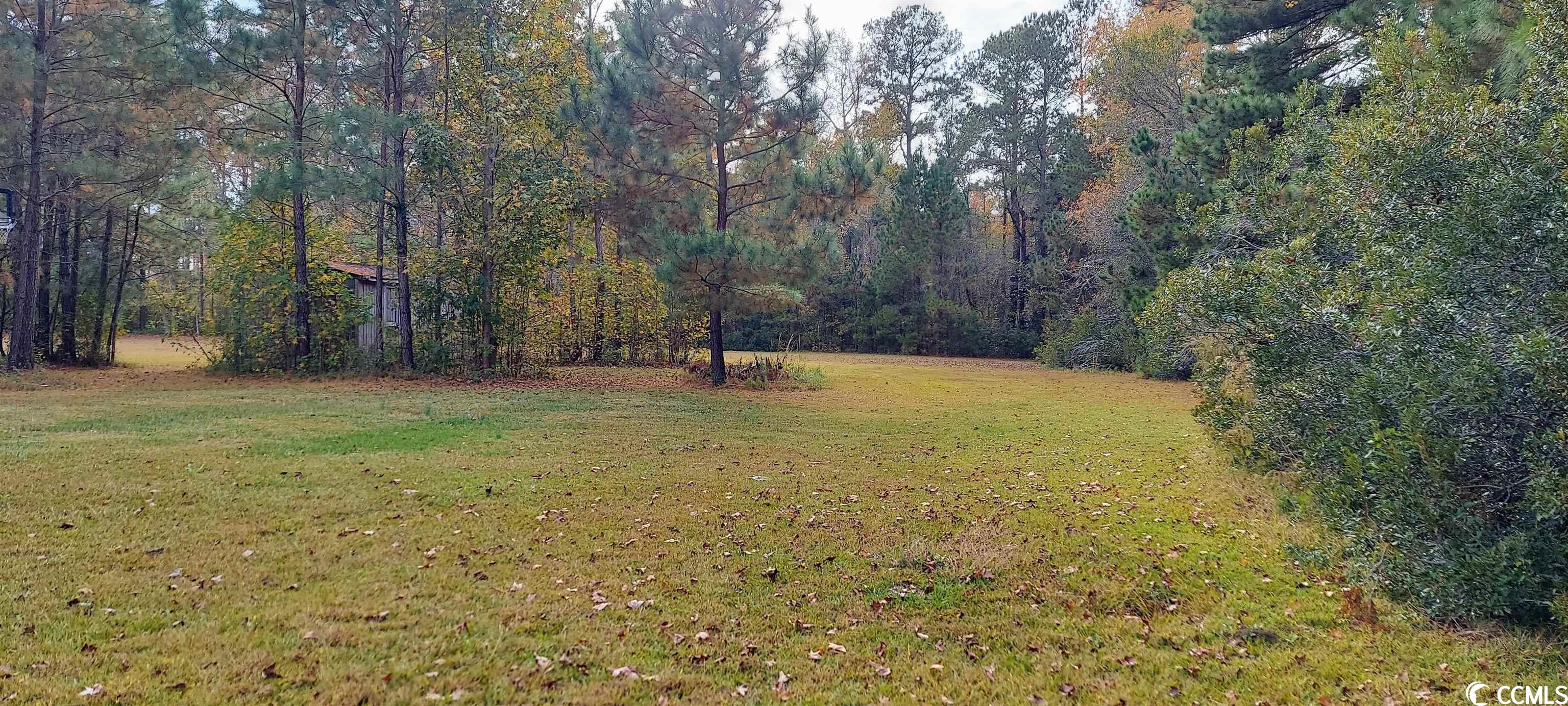 4630 State Highway 554 Loris, SC 29569 - Photo 9 of 21 Gallery Image 9