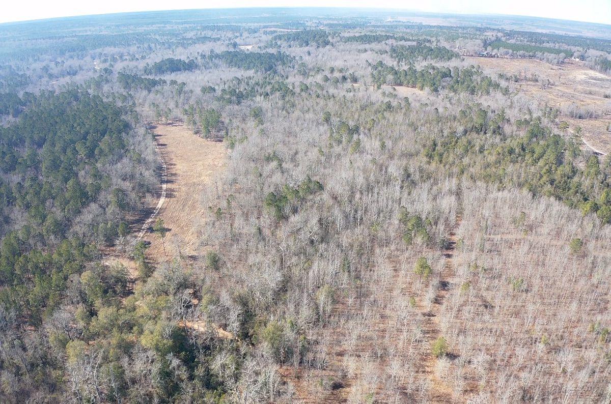 550 Fellowship Road Williston, SC 29853 - Photo 16 of 48 IMG_2549