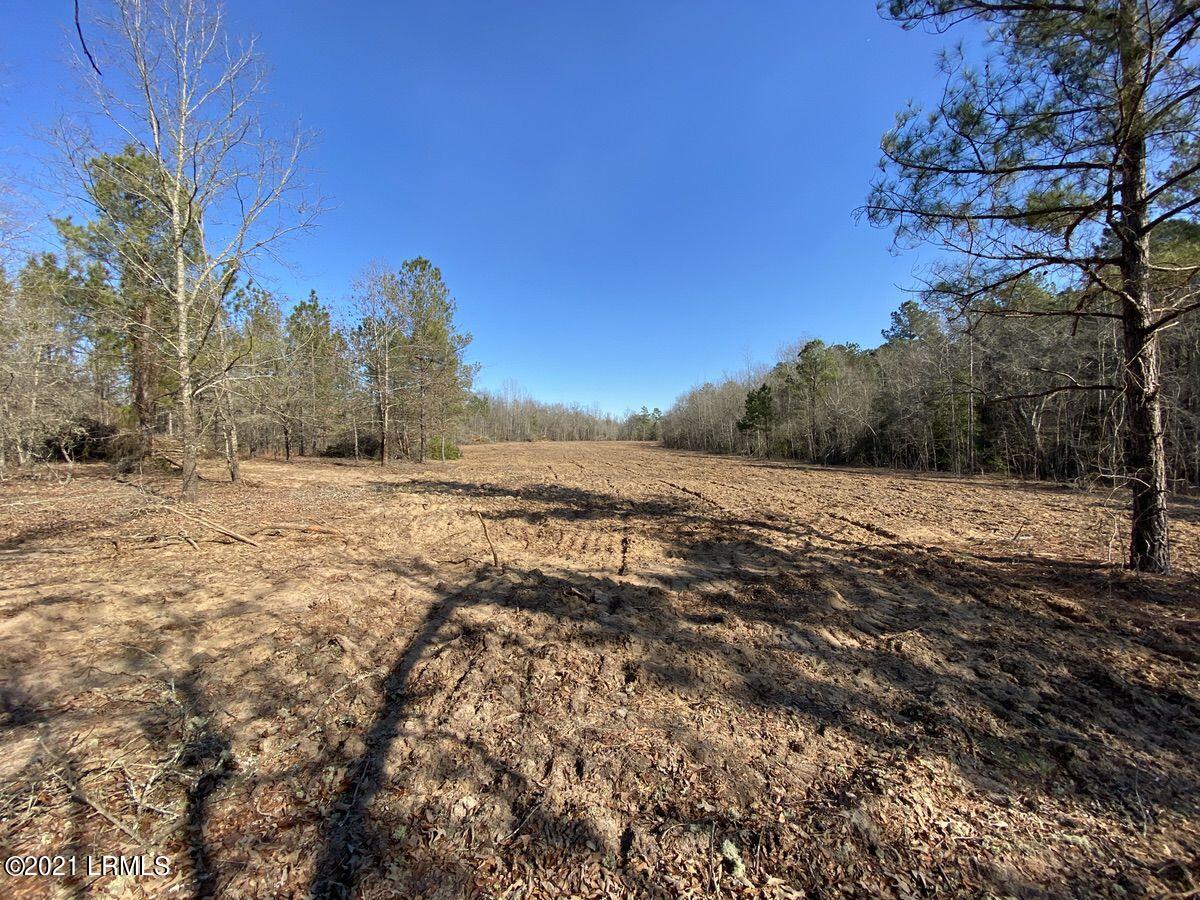 550 Fellowship Road Williston, SC 29853 - Photo 2 of 48 02