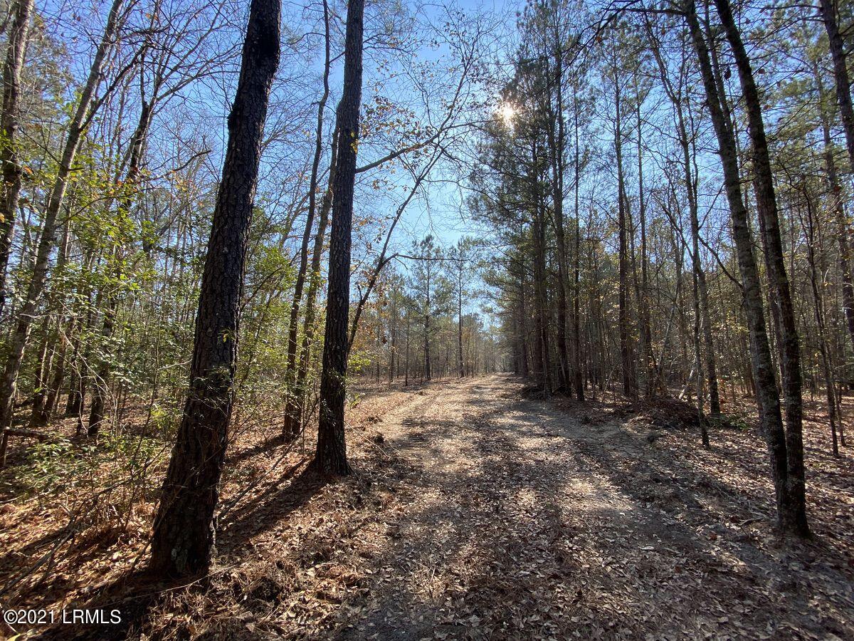 550 Fellowship Road Williston, SC 29853 - Photo 23 of 48 IMG_2581