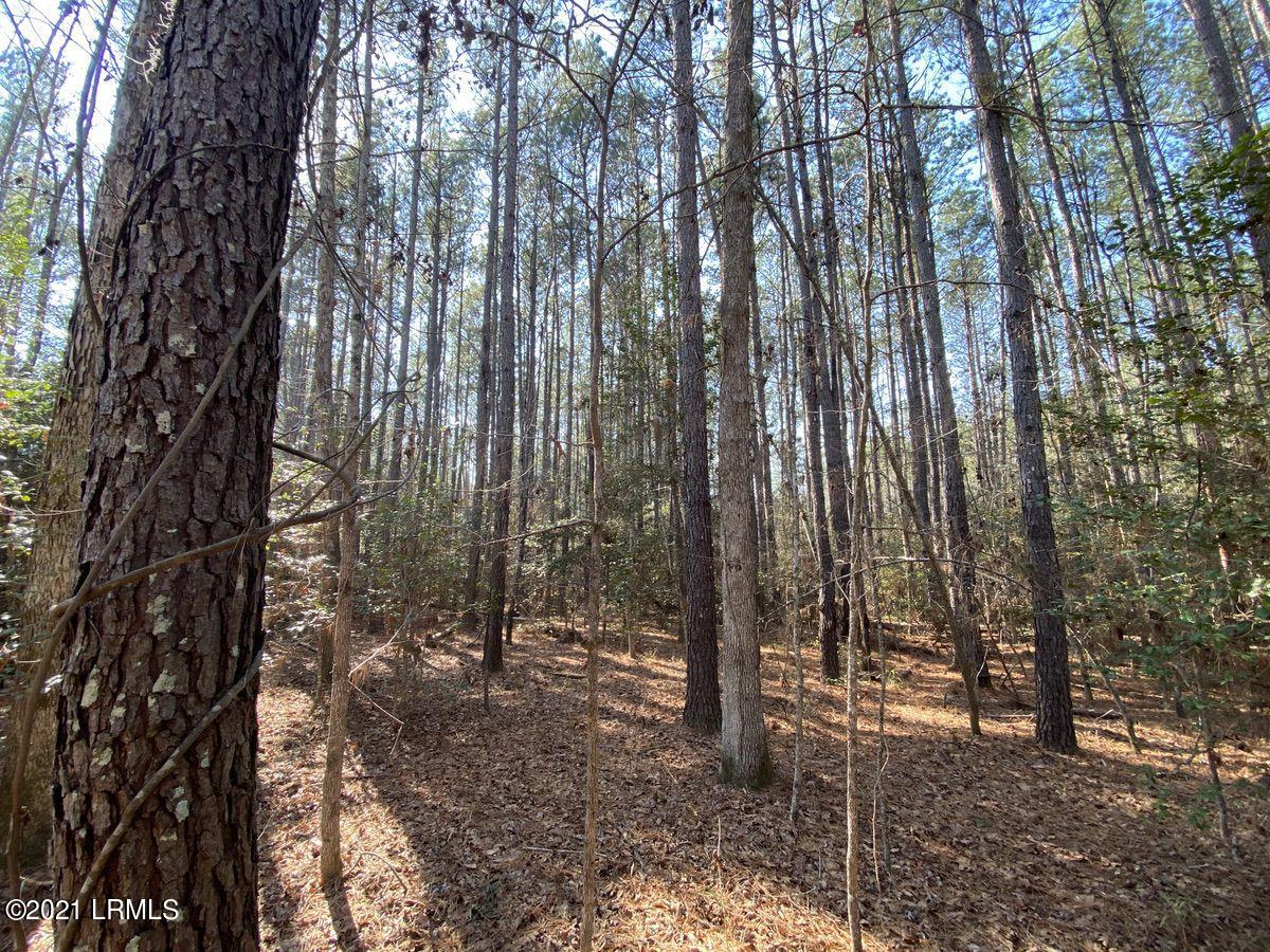 550 Fellowship Road Williston, SC 29853 - Photo 24 of 48 IMG_2583