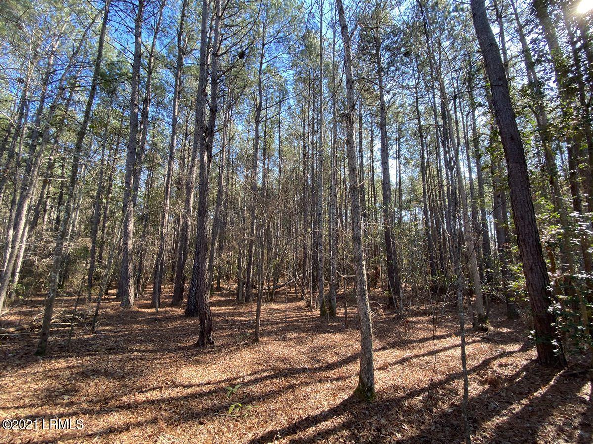 550 Fellowship Road Williston, SC 29853 - Photo 28 of 48 IMG_2594