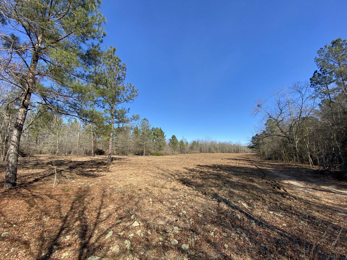 550 Fellowship Road Williston, SC 29853 - Photo 29 of 48 IMG_2600