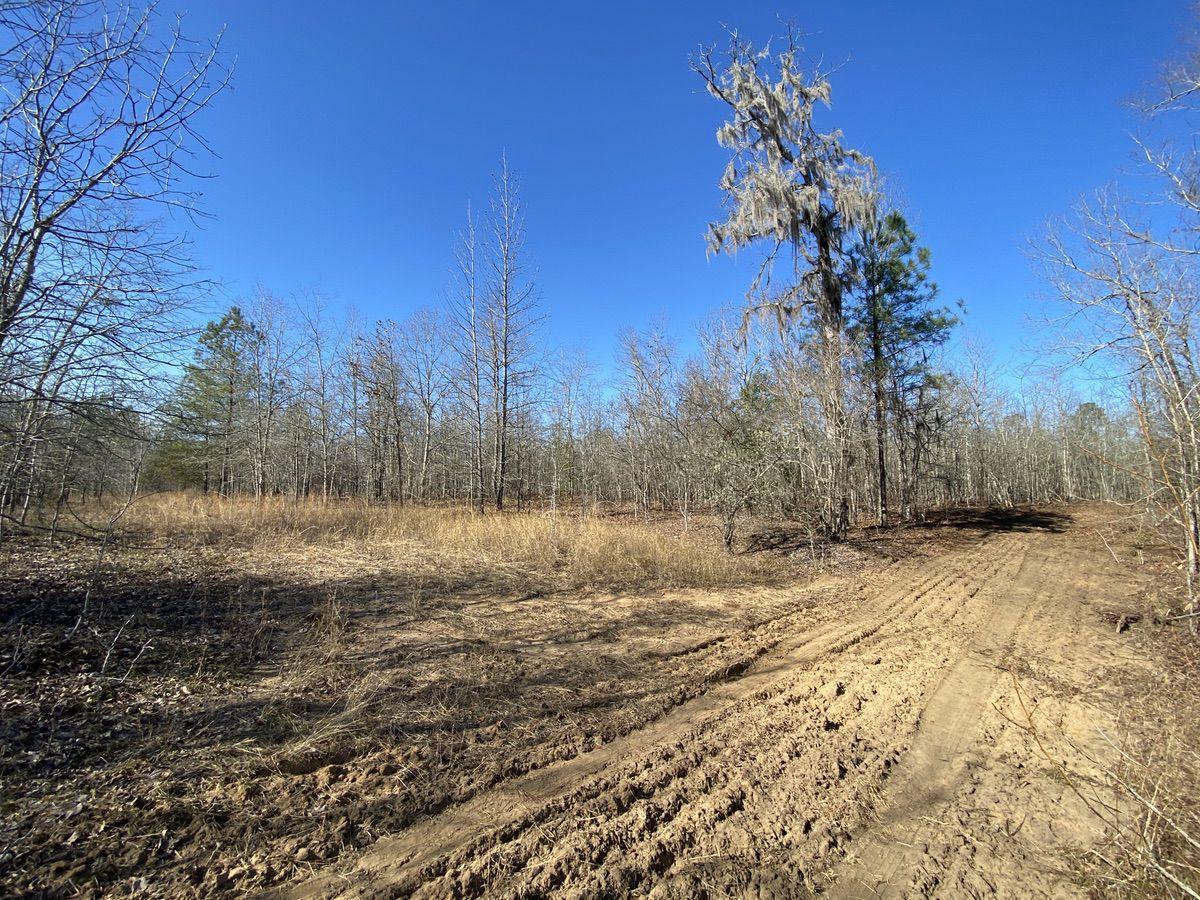 550 Fellowship Road Williston, SC 29853 - Photo 33 of 48 IMG_2613