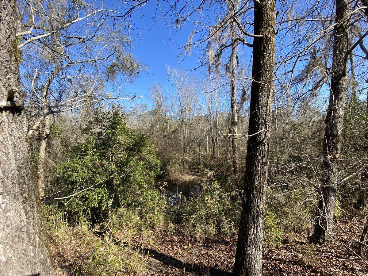 550 Fellowship Road Williston, SC 29853 - Photo 39 of 48 IMG_2647
