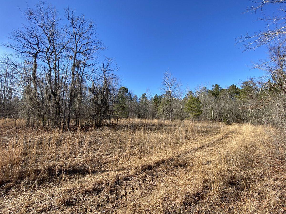 550 Fellowship Road Williston, SC 29853 - Photo 40 of 48 IMG_2651