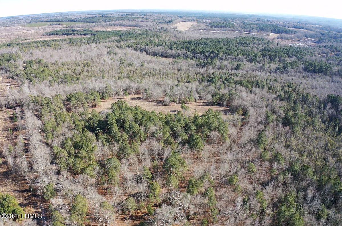 550 Fellowship Road Williston, SC 29853 - Photo 42 of 48 IMG_2666