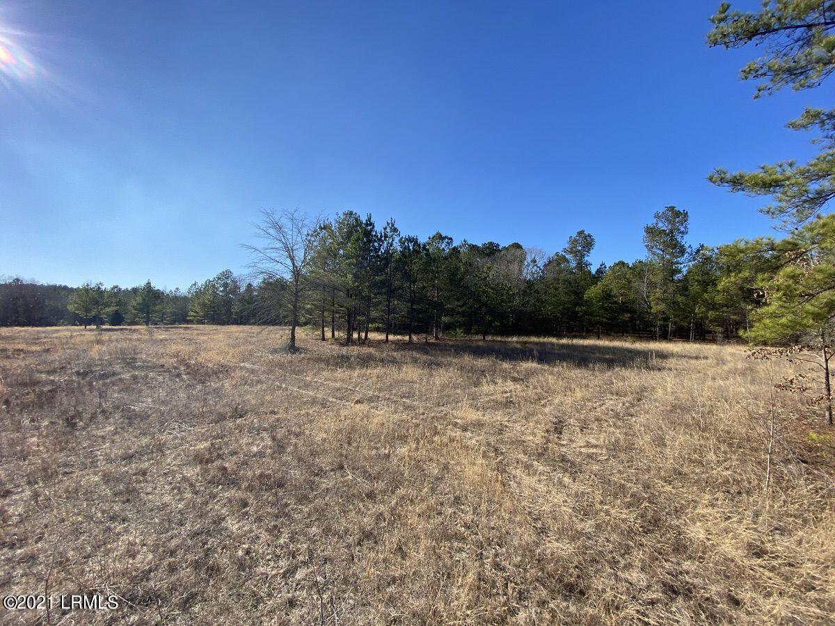 550 Fellowship Road Williston, SC 29853 - Photo 45 of 48 IMG_2716