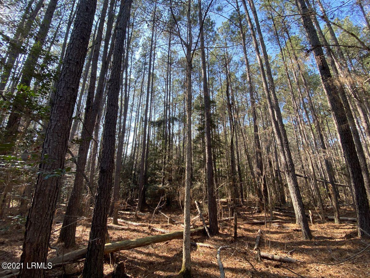 550 Fellowship Road Williston, SC 29853 - Photo 7 of 48 07