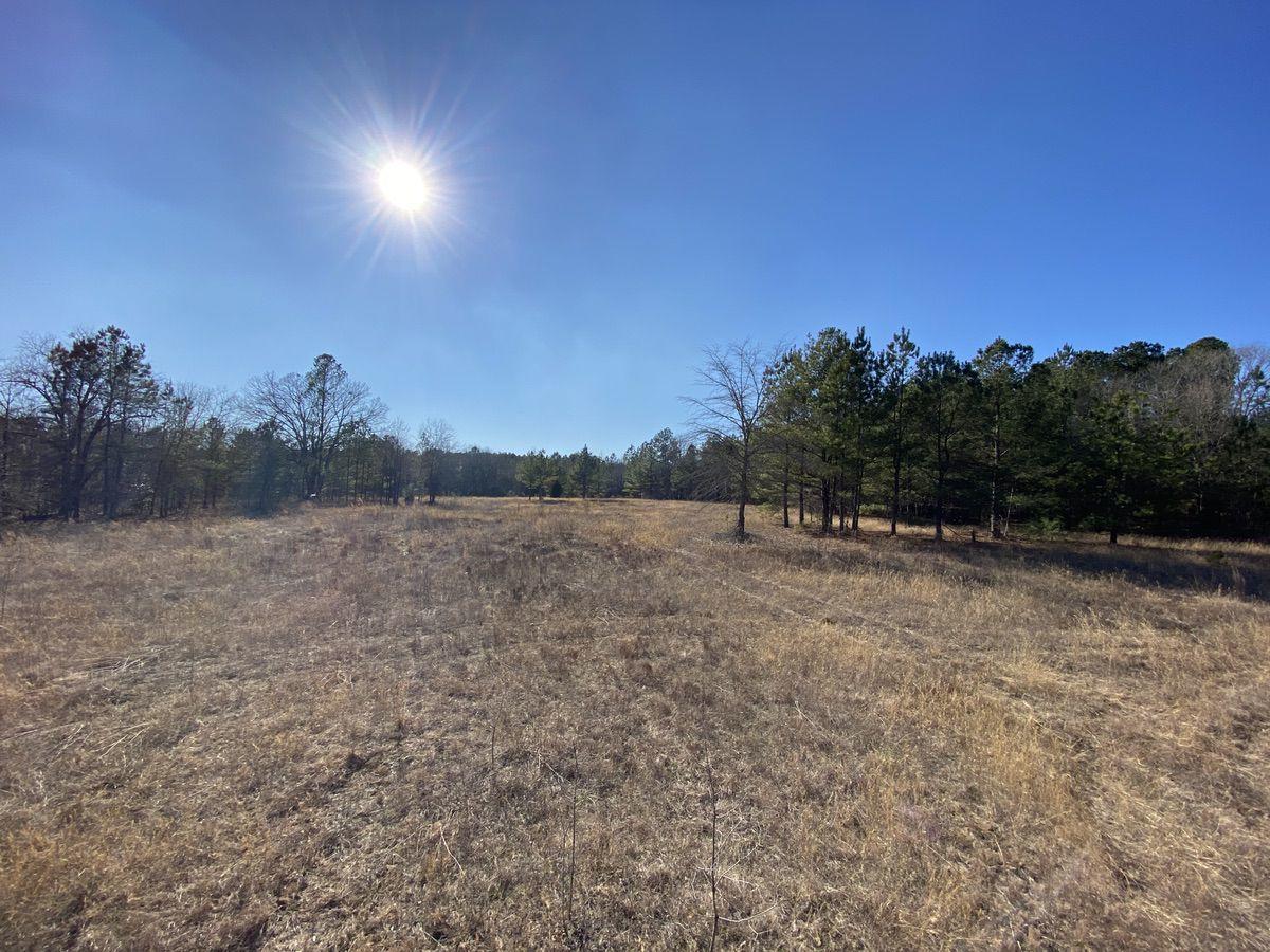 550 Fellowship Road Williston, SC 29853 - Photo 9 of 48 09
