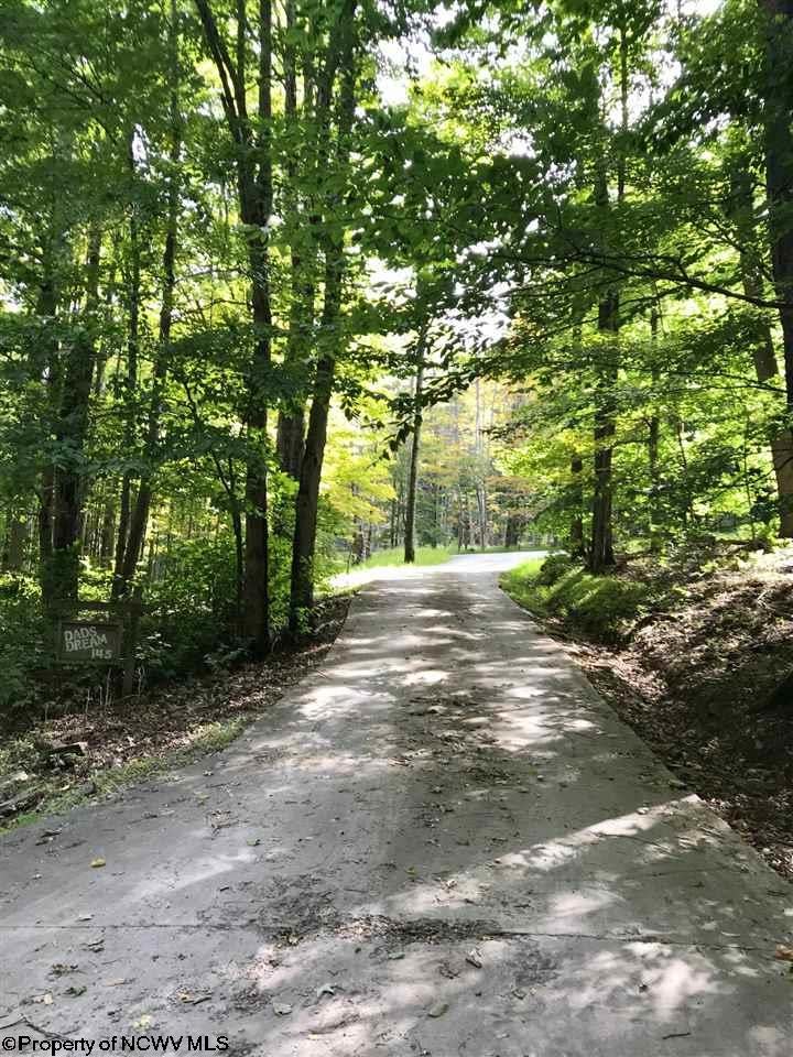 868 Cabin Mountain Road Davis, WV 26260 - Photo 30 of 30 Gallery Image 30