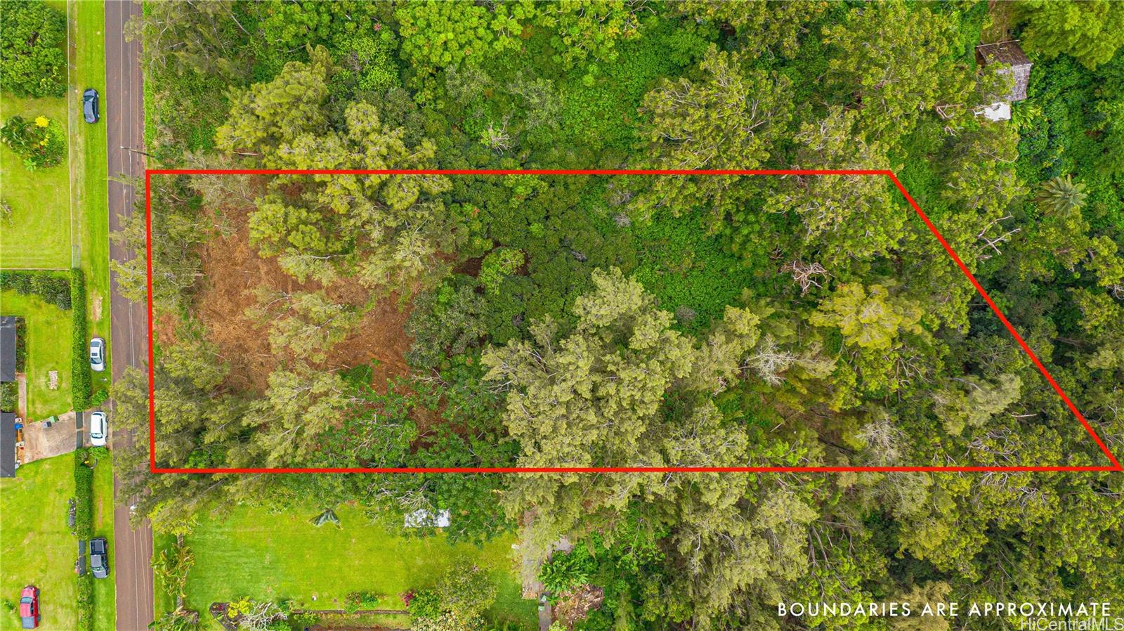 Parcel 49 Alapio Road Haleiwa, HI 96712 - Photo 1 of 25 a view of a yard with a tree