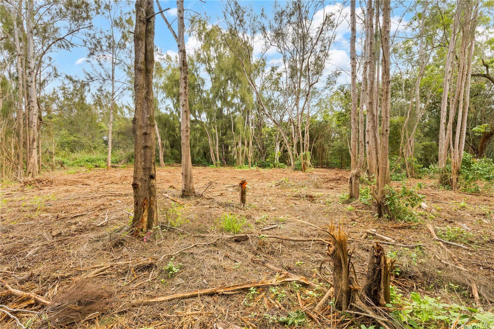 Parcel 49 Alapio Road Haleiwa, HI 96712 - Photo 14 of 25 a view of a yard with trees