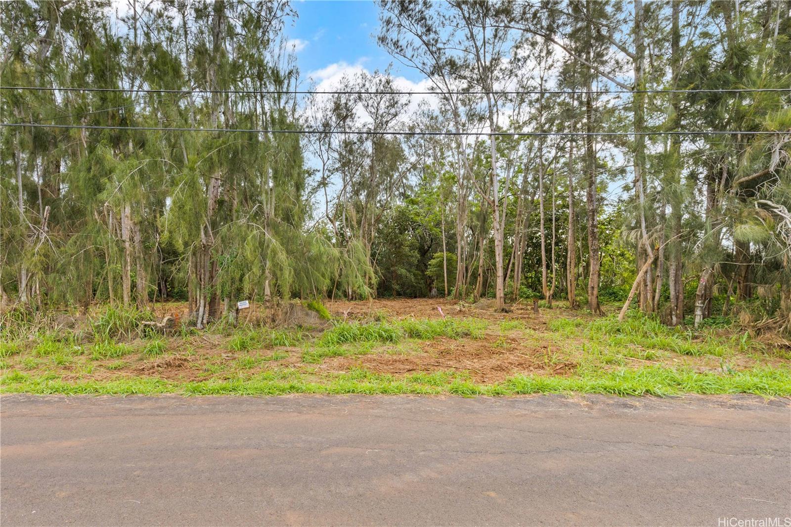 Parcel 49 Alapio Road Haleiwa, HI 96712 - Photo 15 of 25 a view of a backyard with large trees