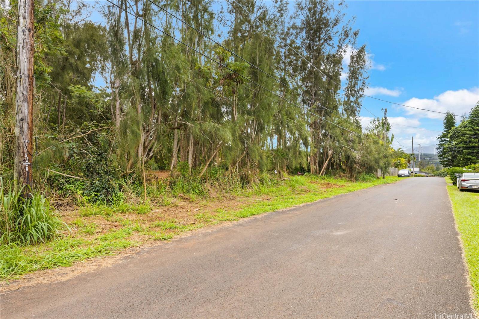 Parcel 49 Alapio Road Haleiwa, HI 96712 - Photo 16 of 25 a view of road with yard