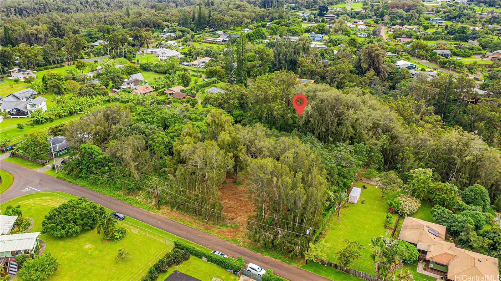 Parcel 49 Alapio Road Haleiwa, HI 96712 - Photo 3 of 25 a view of a yard with plants