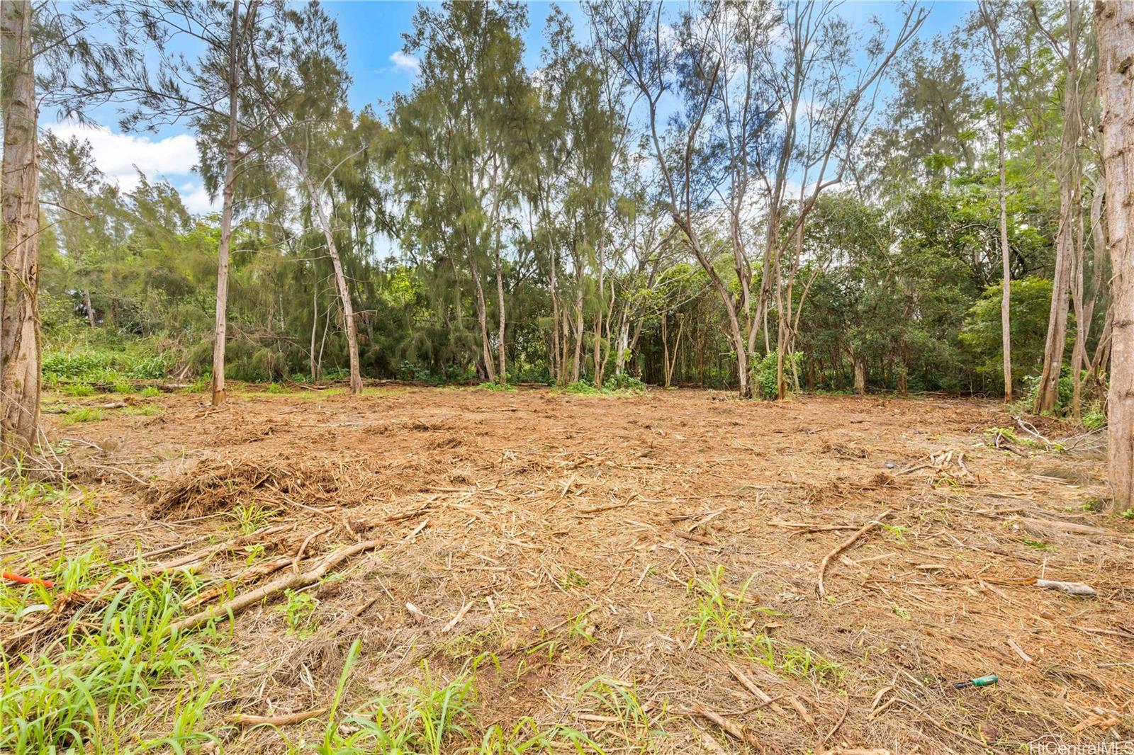 Parcel 49 Alapio Road Haleiwa, HI 96712 - Photo 5 of 25 a view of outdoor space with trees