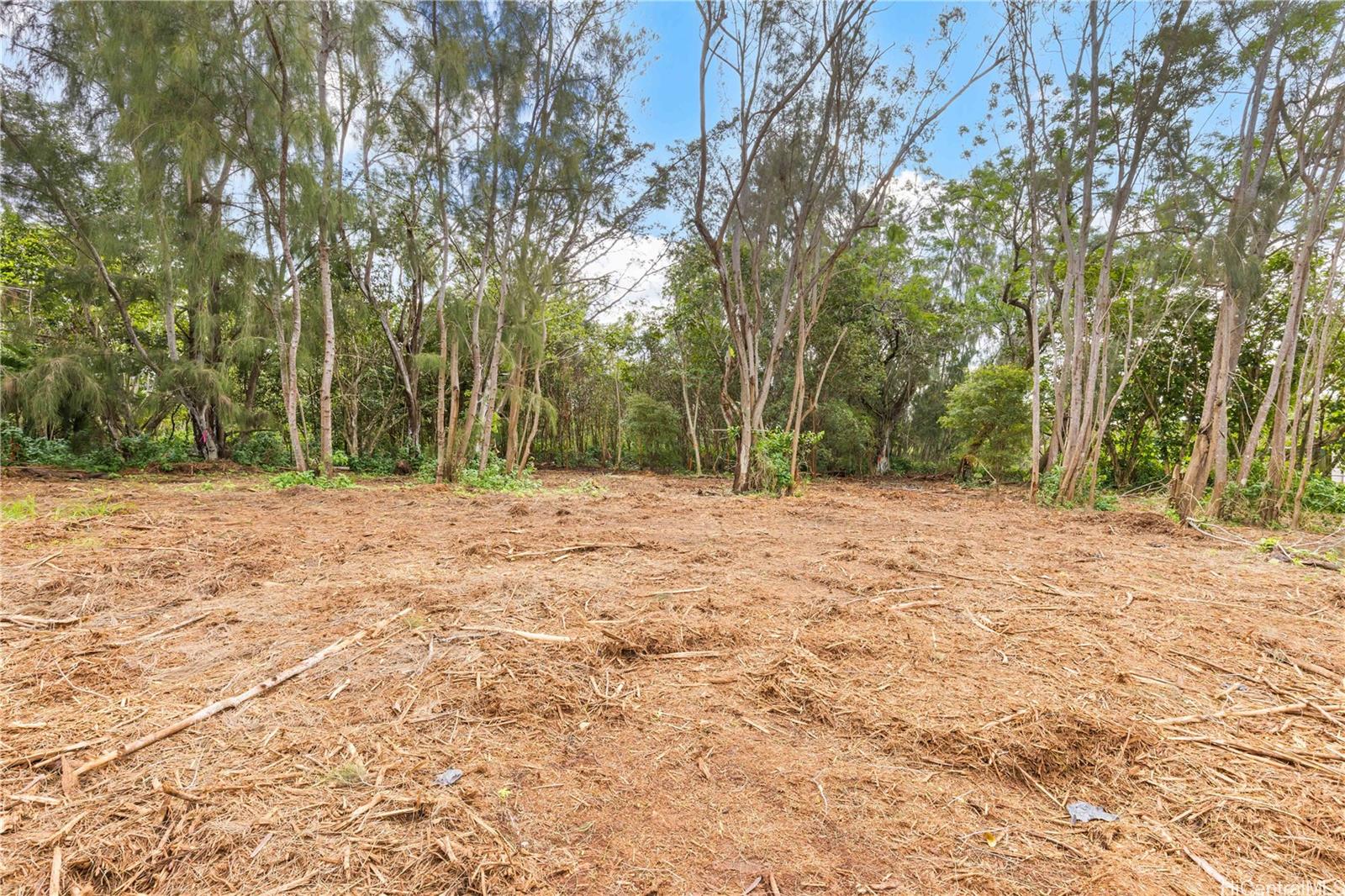 Parcel 49 Alapio Road Haleiwa, HI 96712 - Photo 6 of 25 a view of outdoor space with trees