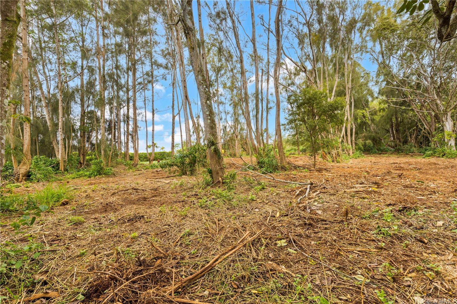 Parcel 49 Alapio Road Haleiwa, HI 96712 - Photo 9 of 25 a view of wooden fence and trees