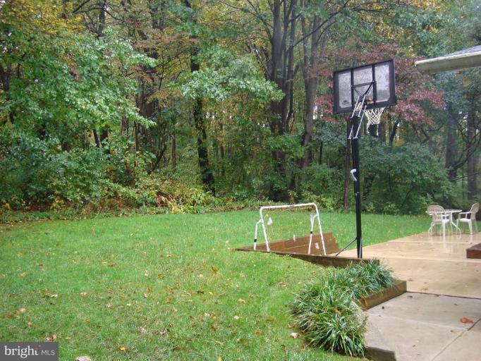 3664 Muddy Creek Road Edgewater, MD 21037 - Photo 22 of 28 Back yard