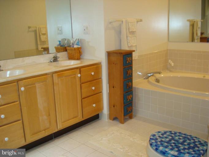 3664 Muddy Creek Road Edgewater, MD 21037 - Photo 6 of 28 Master Bath