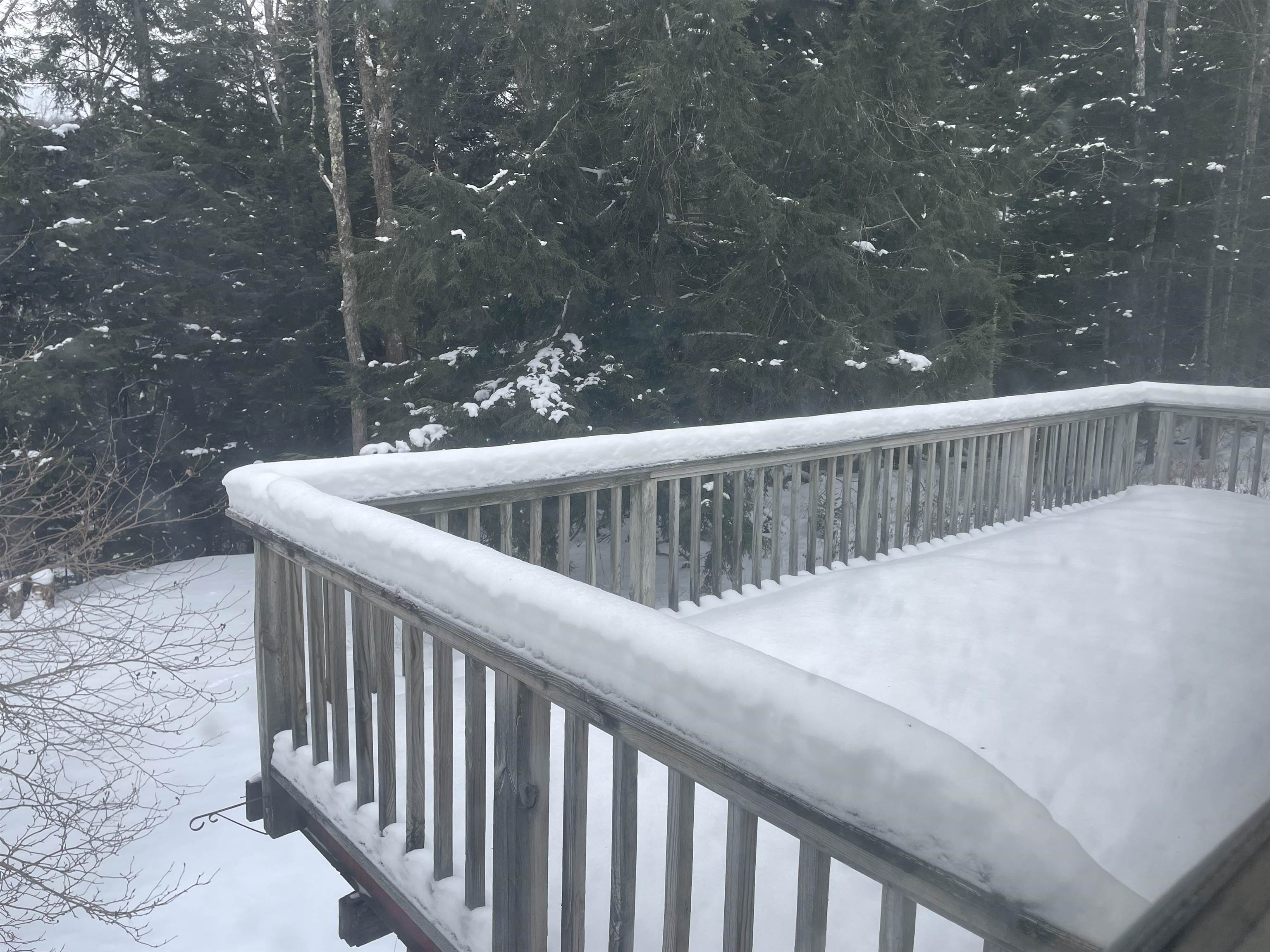 339 Higley Hill Road Wilmington, VT 05363 - Photo 36 of 41