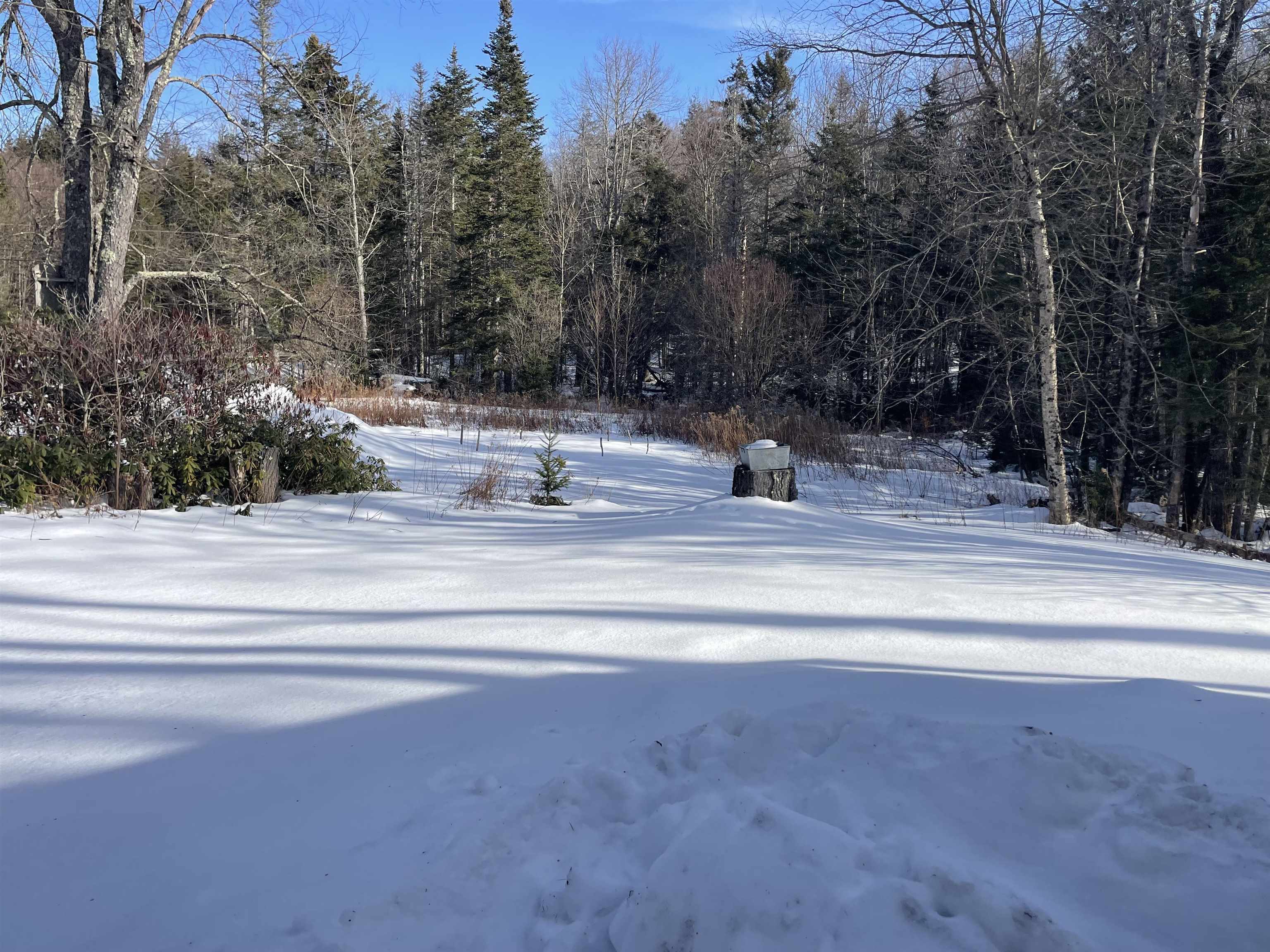 339 Higley Hill Road Wilmington, VT 05363 - Photo 38 of 41