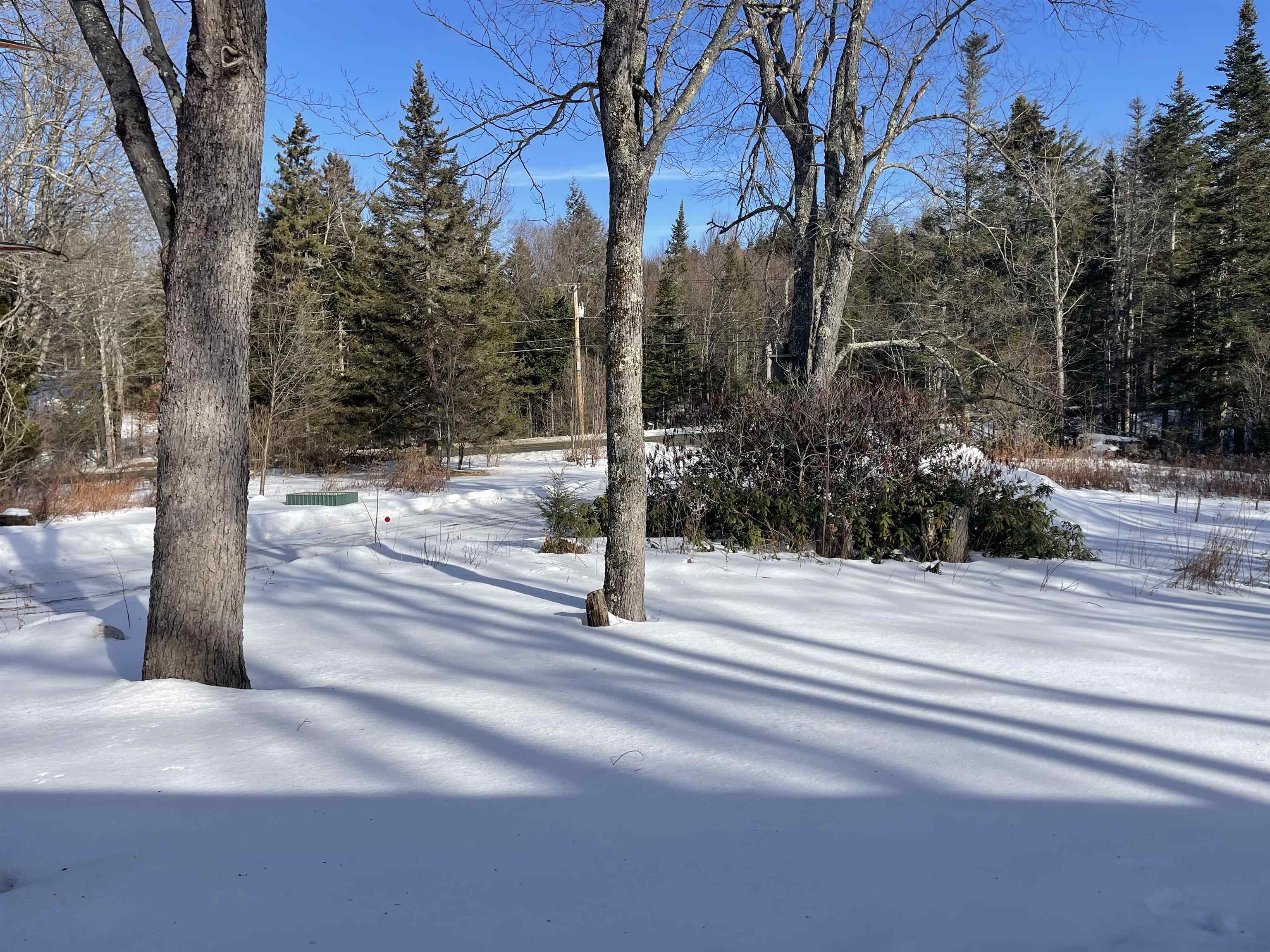 339 Higley Hill Road Wilmington, VT 05363 - Photo 39 of 41