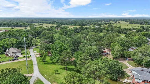 an aerial view of residential houses with outdoor space and trees